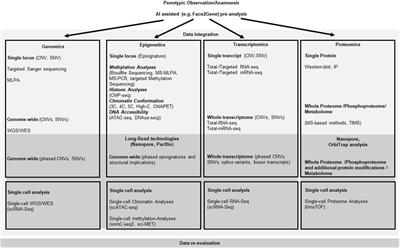 Molecular mechanisms of human overgrowth and use of omics in its diagnostics: chances and challenges